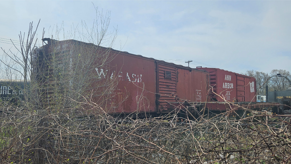 WAB 82583